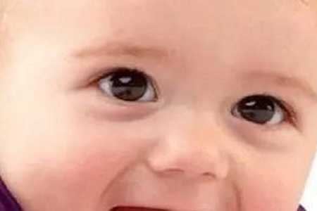 2024ŮȡԢõ