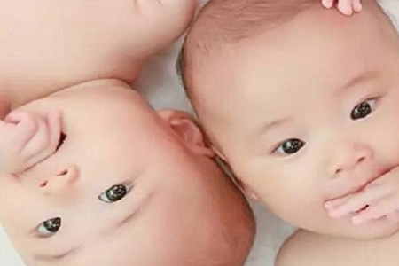 姓名龙费测试打分