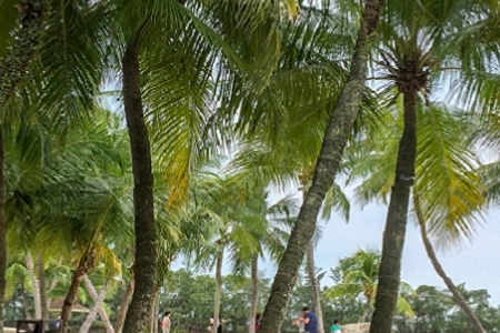 阎姓男孩100分起名字