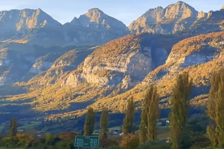 姓金的男孩取100分名字