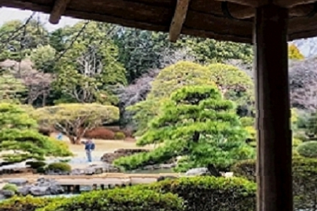 кô100