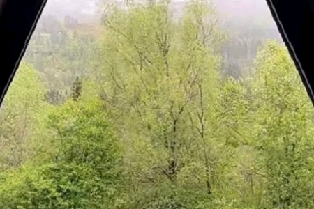 Ů100