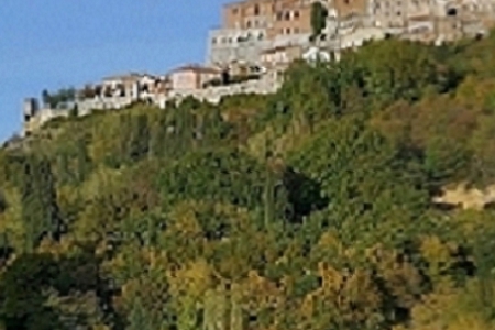 Ů100ȫ