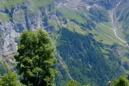 Ů100