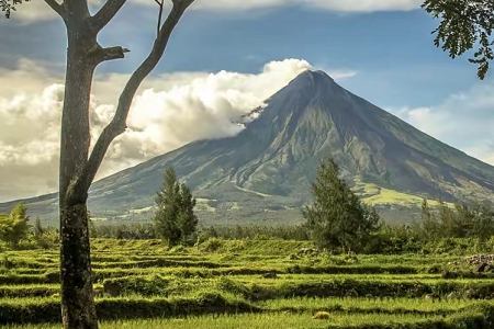 ���ּ򵥹�˾���ִ�ȫ