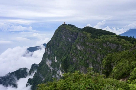 金铲铲之战取个霸气的网名