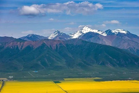 电力公司起什么名字好