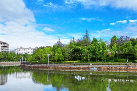 斗罗大陆能勾女人的专用网名 斗罗大陆能勾女人的专用网名