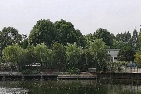 山海仙路超A御姐网名两个字 山海仙路超A御姐网名两个字