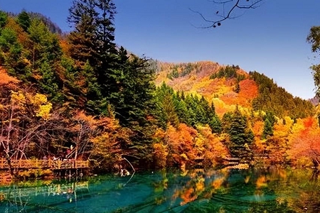 2025����ι�˾������ȫ��