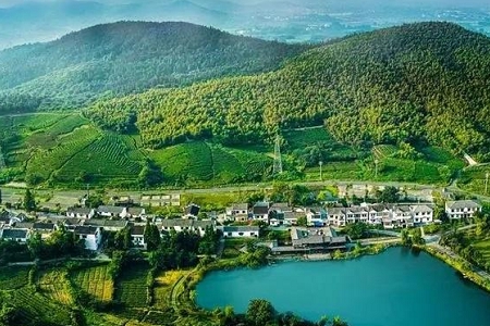 2025�������˾������ȫ