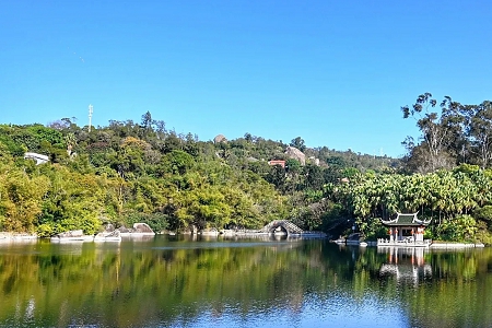 咨询管理公司名字大全