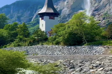 2025�깫˾������ȫ