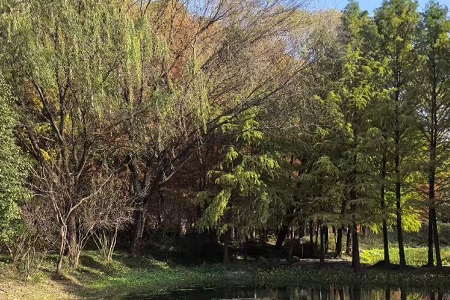 ʹ���ٻ�����Ů���������ƫ�䵭��