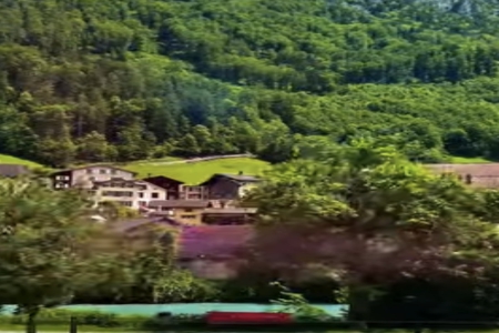 带颖字怎么起名