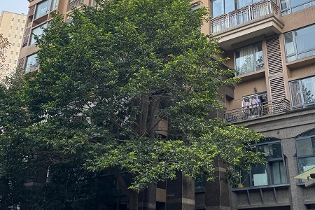 ��ɫ�ű�40�����ش���������