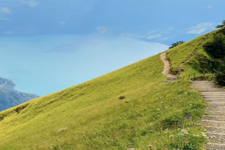 带黛字怎么起名