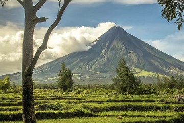 ���ּ򵥹�˾���ִ�ȫ