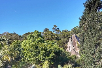 ������ҫ�ʺϸ���Ů�����Ϸ����,������ҫ�ʺϸ���Ů�����Ϸ��