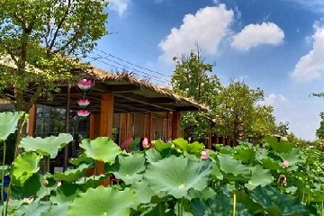 �ܷ���һ����ҵ��˾����