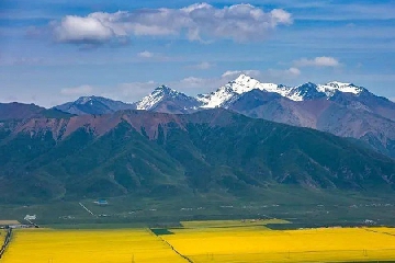 ������˾��ʲô���ֺ�