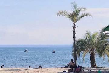 ��ǿ׷��Ů�������˵�����,��ǿ׷����Ϸ����Ů���������