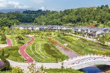 2025�����������˾���ִ�ȫ