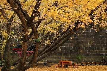 ��������Ů���������ֳ�ק����,����������Ϸ��������Ů����