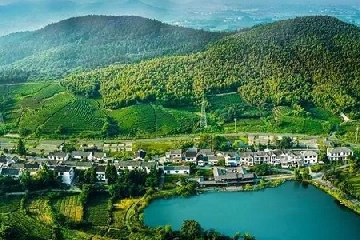 2025�������˾������ȫ