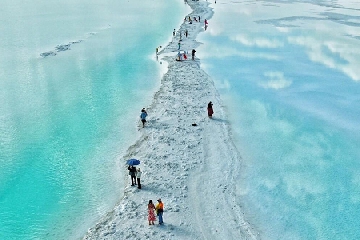 ɽ����·��ʿ���������ں�,ɽ����·��ʿ�����������������