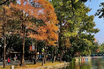 2026�����ع�˾��������