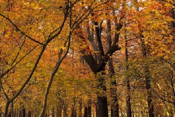 2026�깫˾����ʵ�ô�ȫ