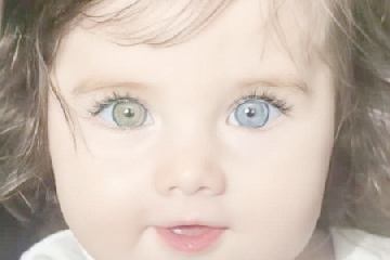 ţ���б���100�������ֿ�,ţ���к�����100�ֵ�����