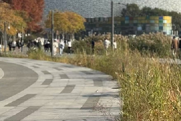 ��������Ϸ������������,������������������Ϸ��