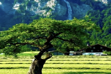 ��װ��˾�����ĸ���