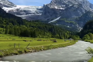 ��ó��˾������ȫ