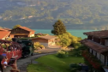 �������ô����,���������Ԣ�����