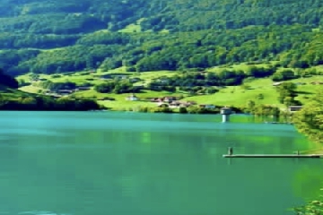 ��������ô����,����������Ԣ�����