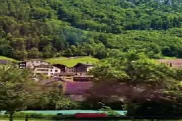 ��ӱ����ô����,ӱ��������Ԣ�����