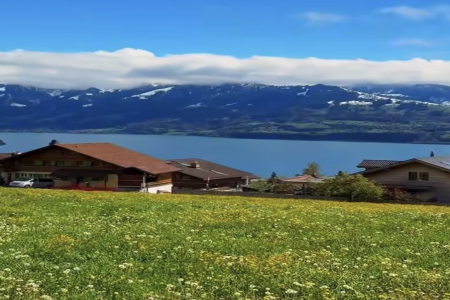 给姓蒋的男孩取名