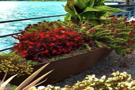 ��������ô����