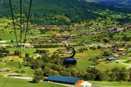 带芹字怎么起名