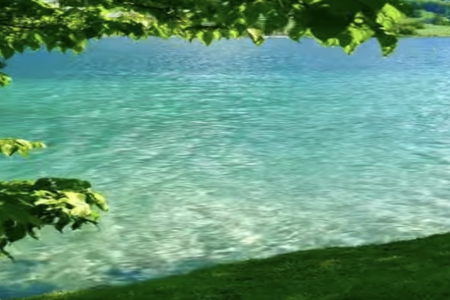 ��������ô����