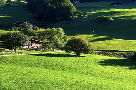 �б���ȡ��100���ձ�