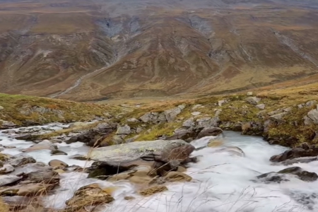 ´ø´Â×ÖÔõôÆðÃû