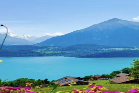 ��������ô����