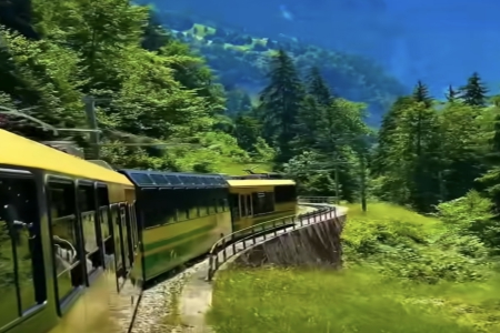 ��������ô����