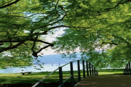 ��������ô����