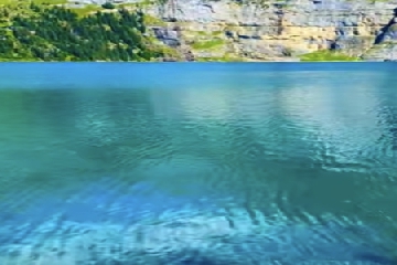 ��������ô����,����������Ԣ�����