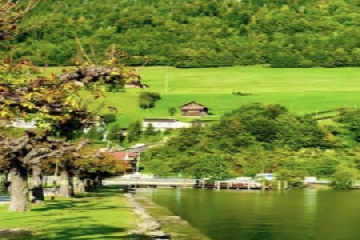 ��������ô����,����������Ԣ�����